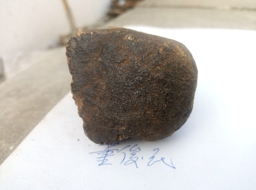 JPEG_20210122_115727_.jpg