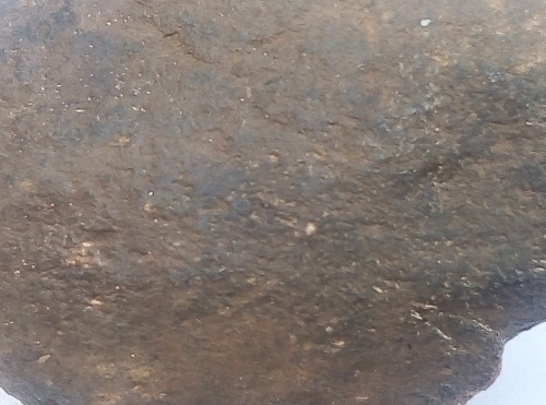 JPEG_20210122_115954_.jpg