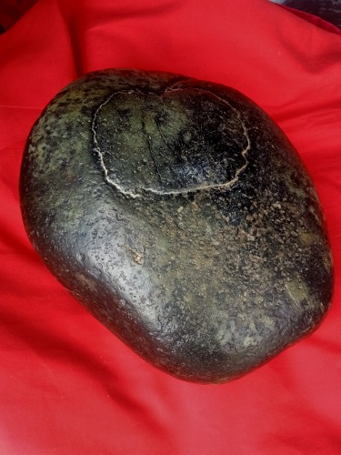IMG20201227163852.jpg