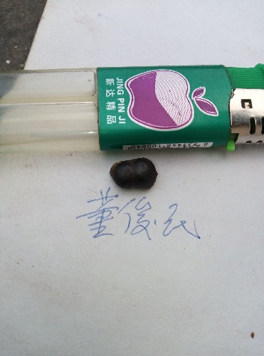 JPEG_20210127_153817_.jpg