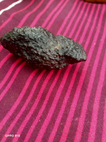IMG20210210105403.jpg