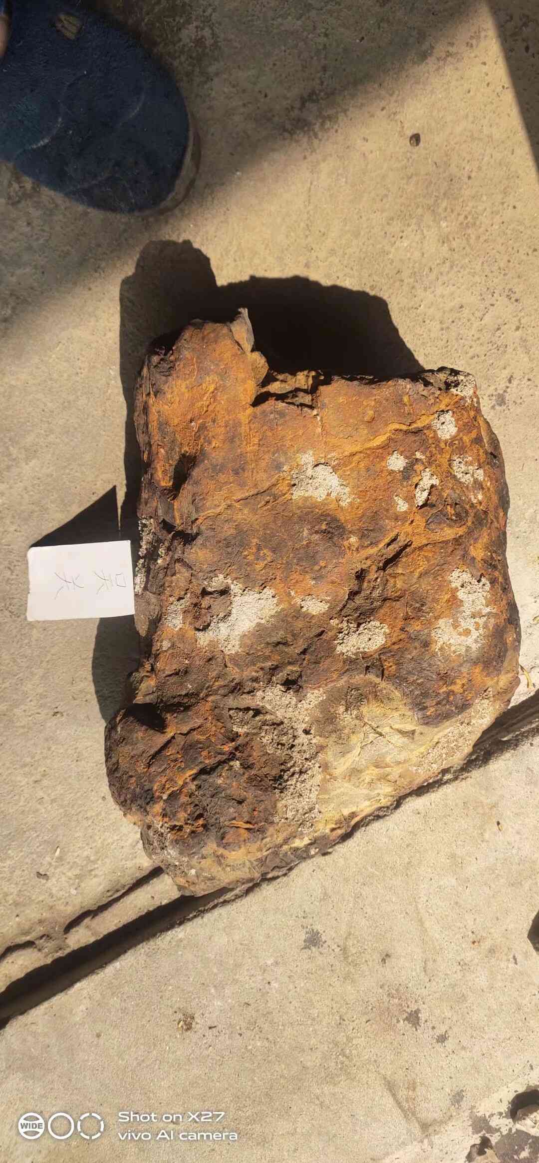 1614058422460.jpeg