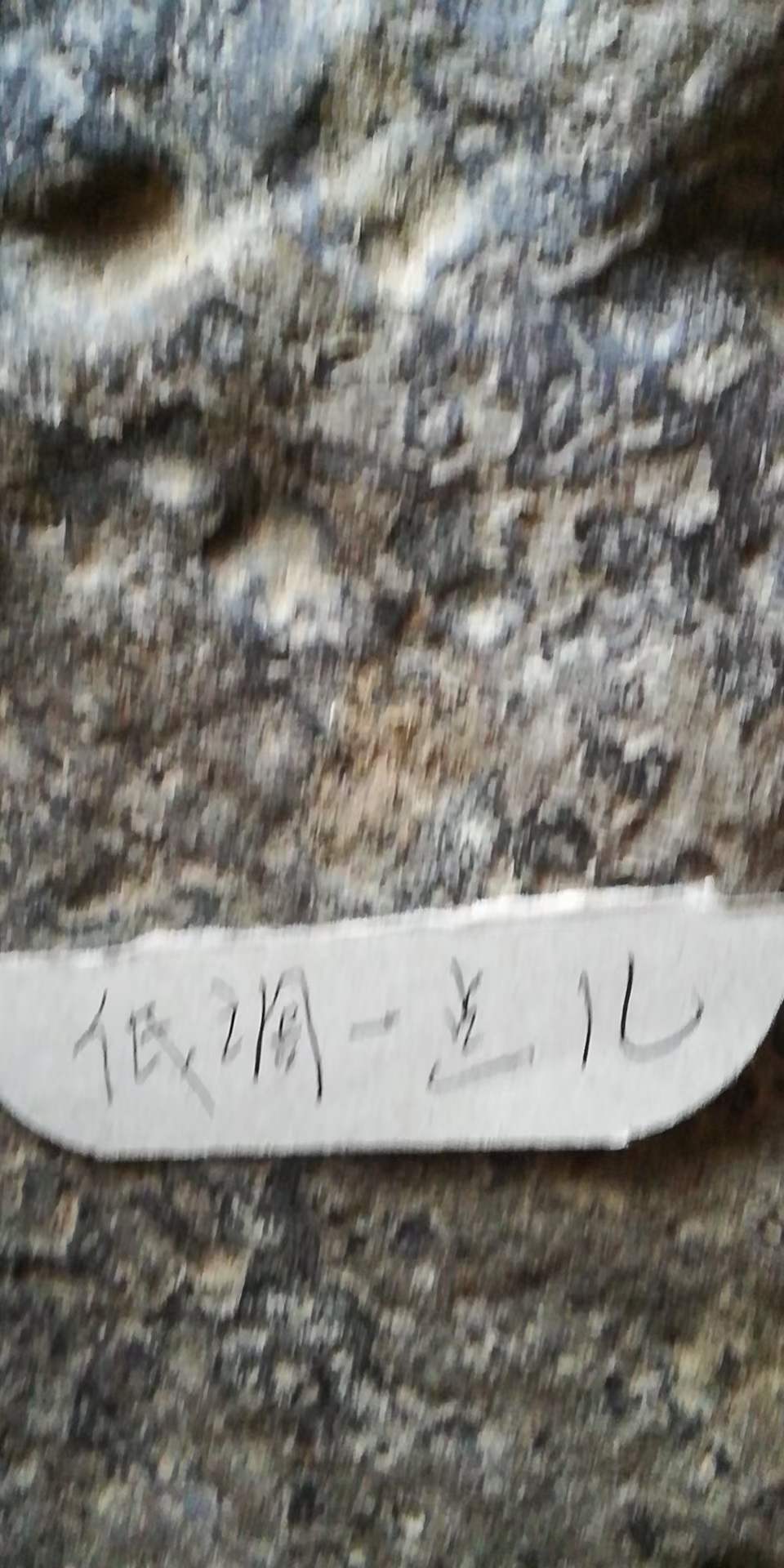 微信图片_20210221011556.jpg