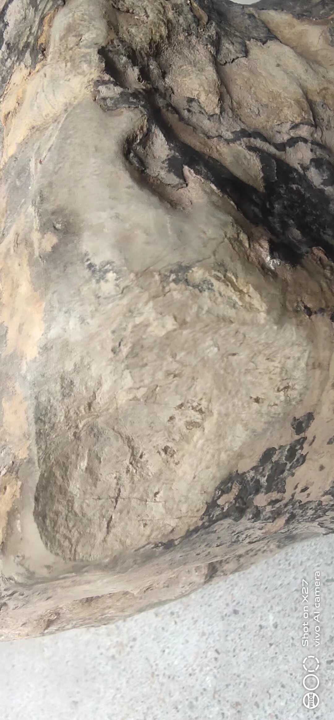 1618725874907.jpeg