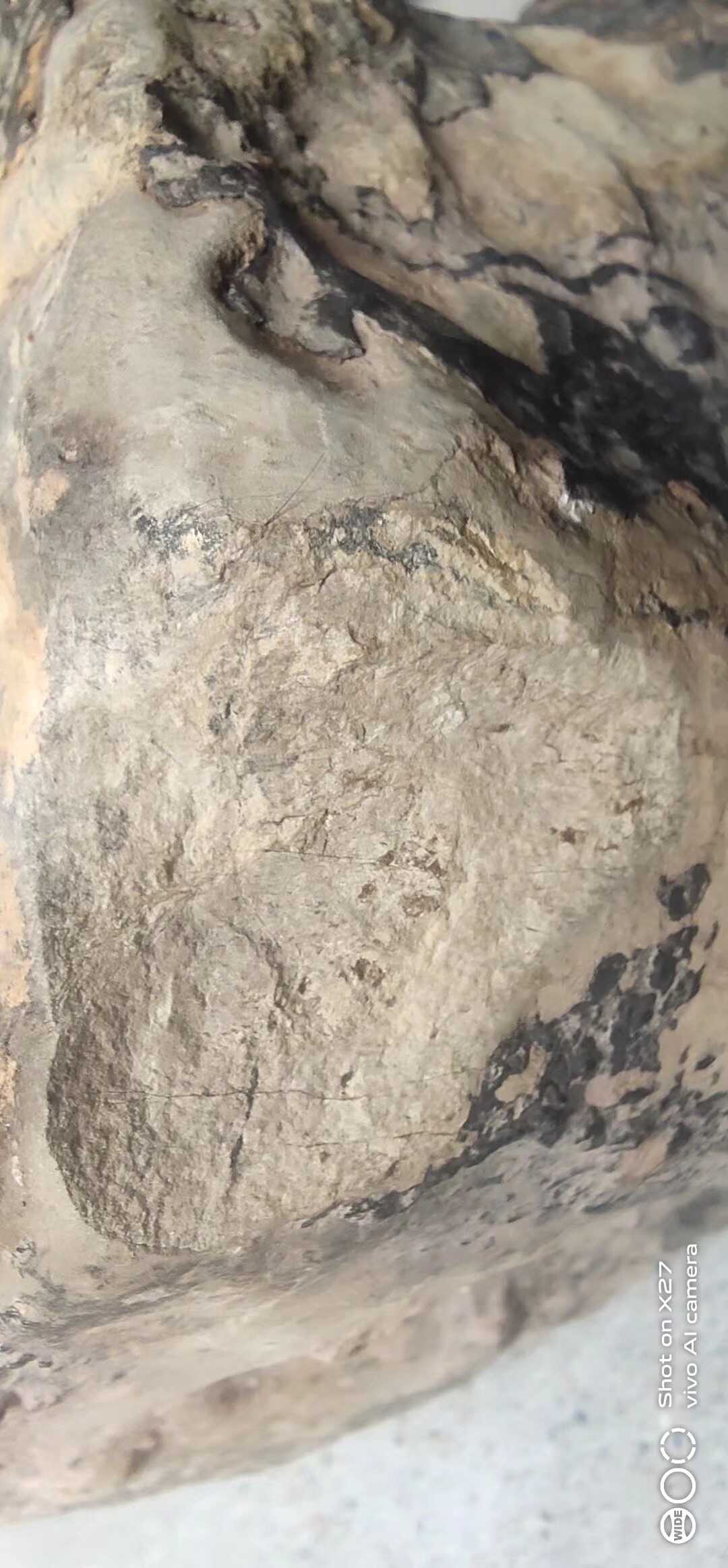 1618725878240.jpeg
