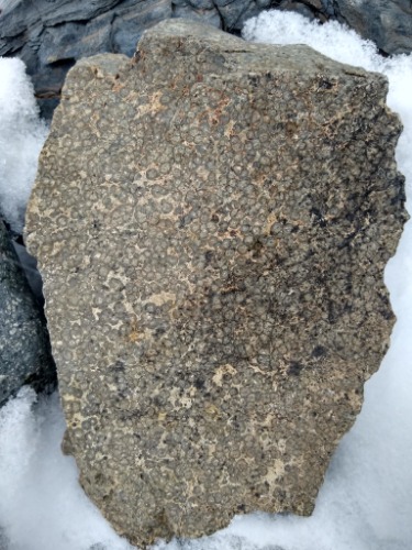 IMG_20210419_104750662_HDR.jpg