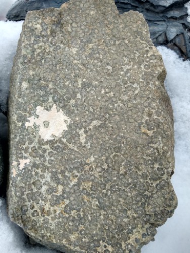 IMG_20210419_104740790_HDR.jpg