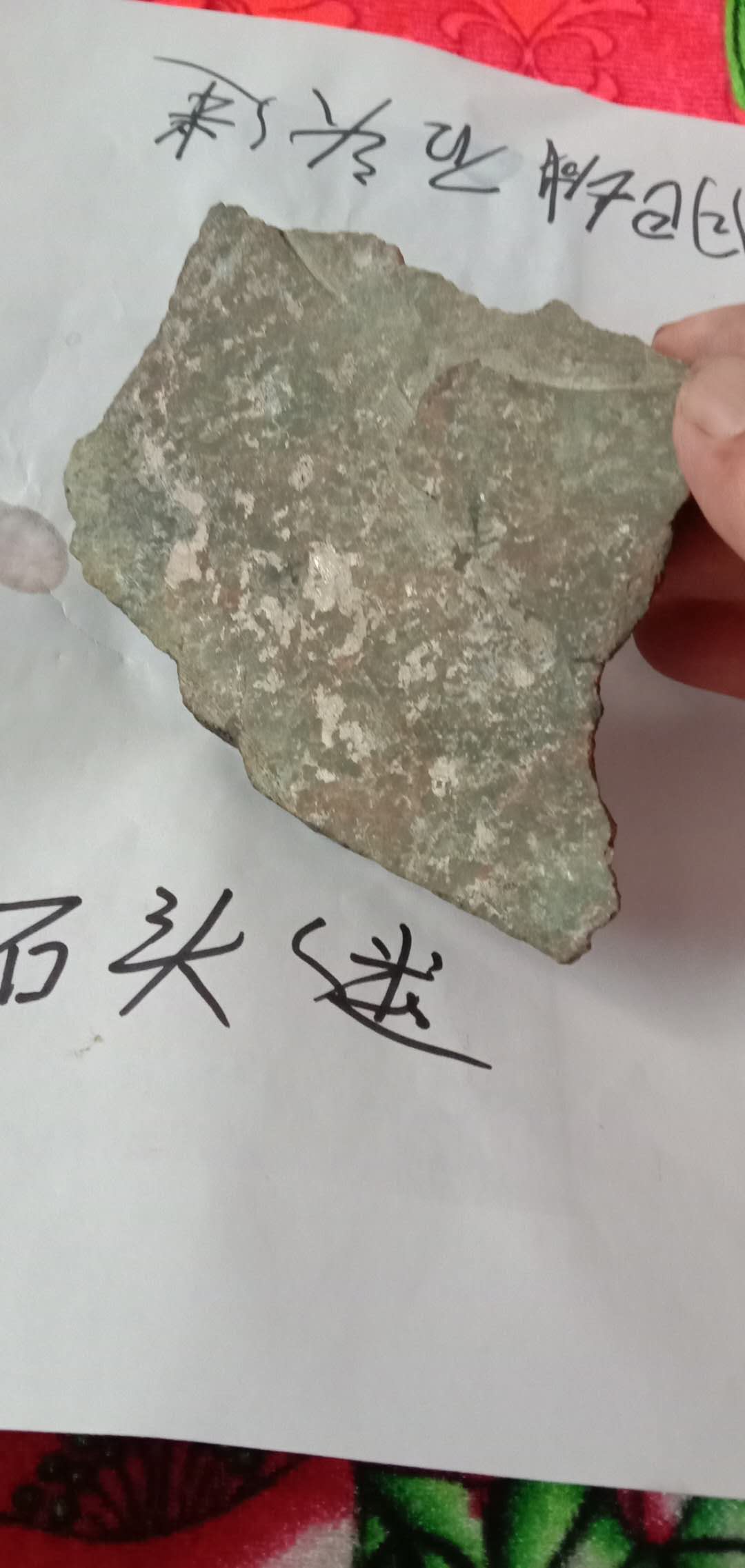 微信图片_20210527183242.jpg