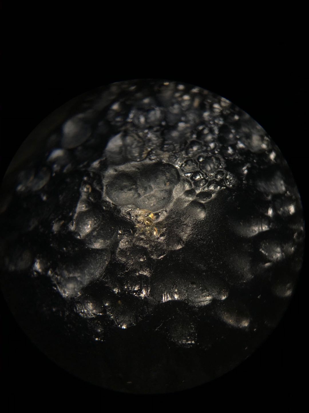70B68F1A-0986-434A-95F6-F7DEC05AD193.jpeg