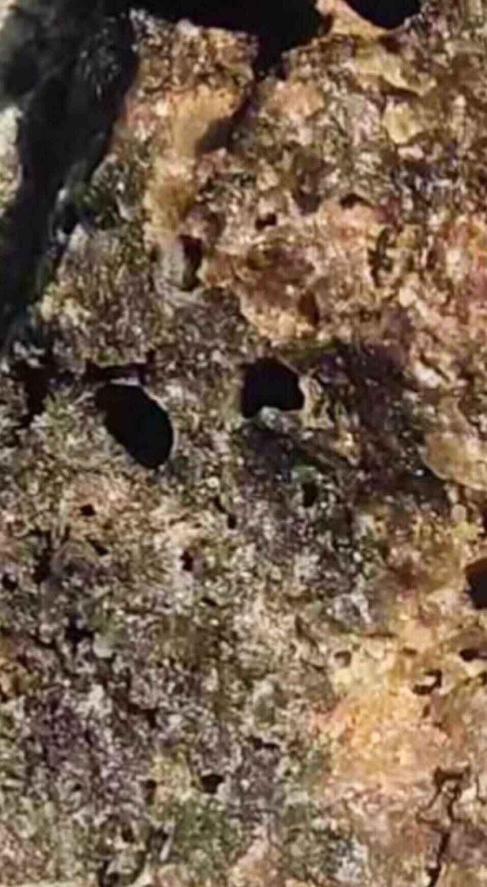 b2d7e885dea3304631c6ca50f4b6b45b5f79c7aa6770ad18ac062d24013af5f4.0.JPG