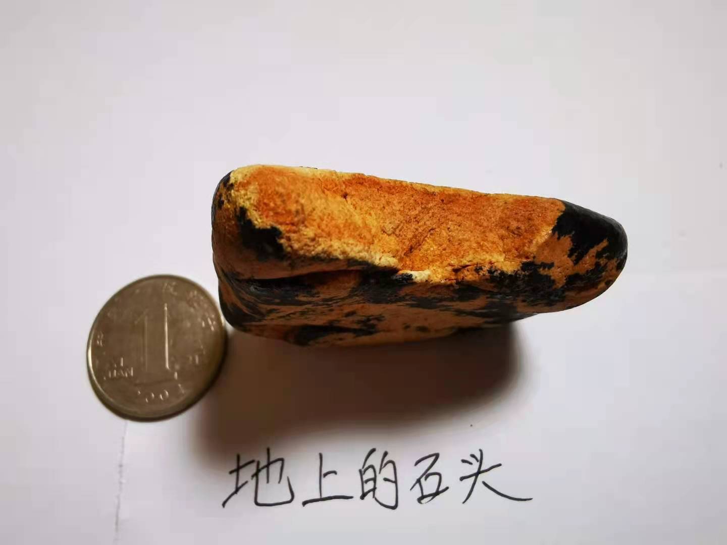 微信图片_20210617112551.jpg