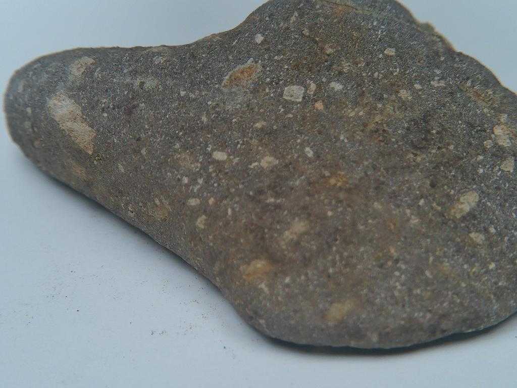 20210624171733_022542.JPG
