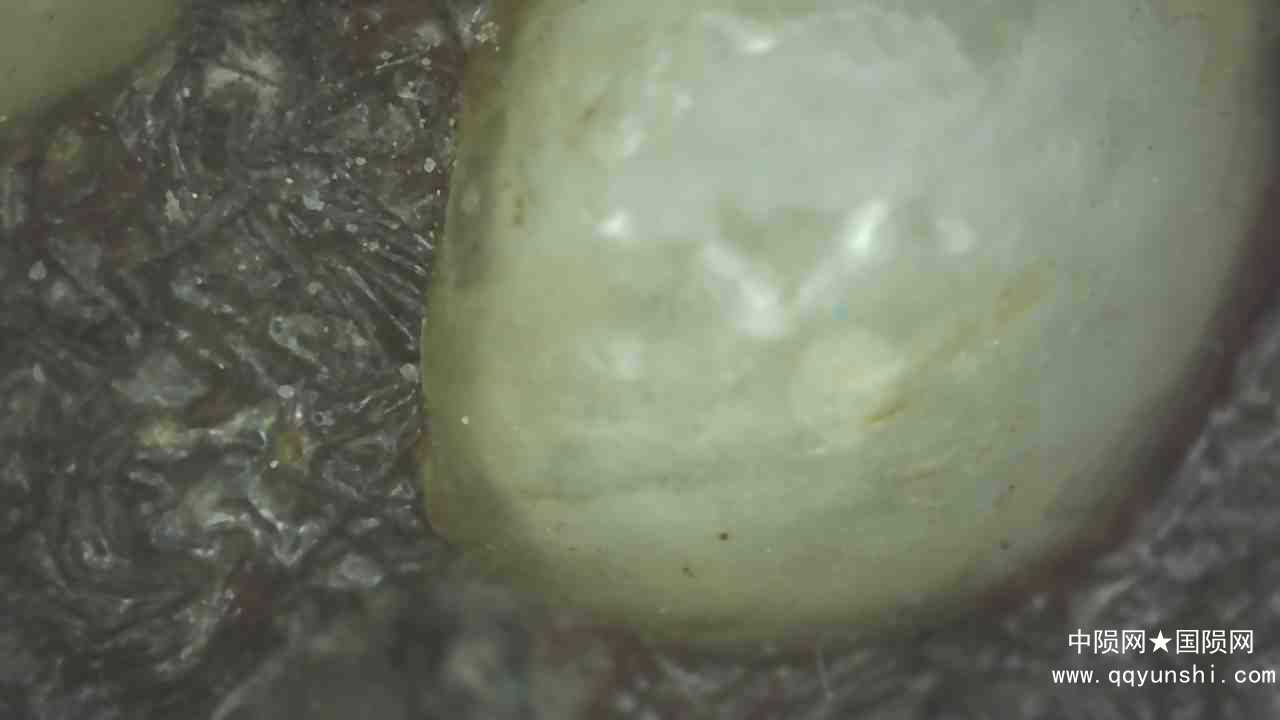 20210829_2119_024_0.000.jpg