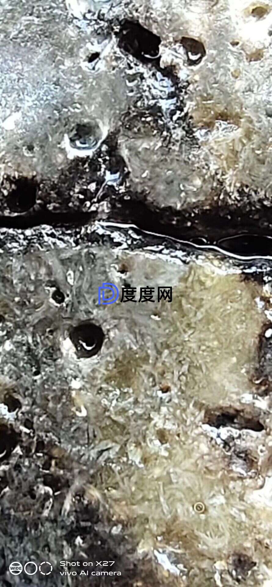 f9aeb1adce295a35d59f435155932eb711e4320a4eeeec992dde094b0bfca7e7.0.JPG