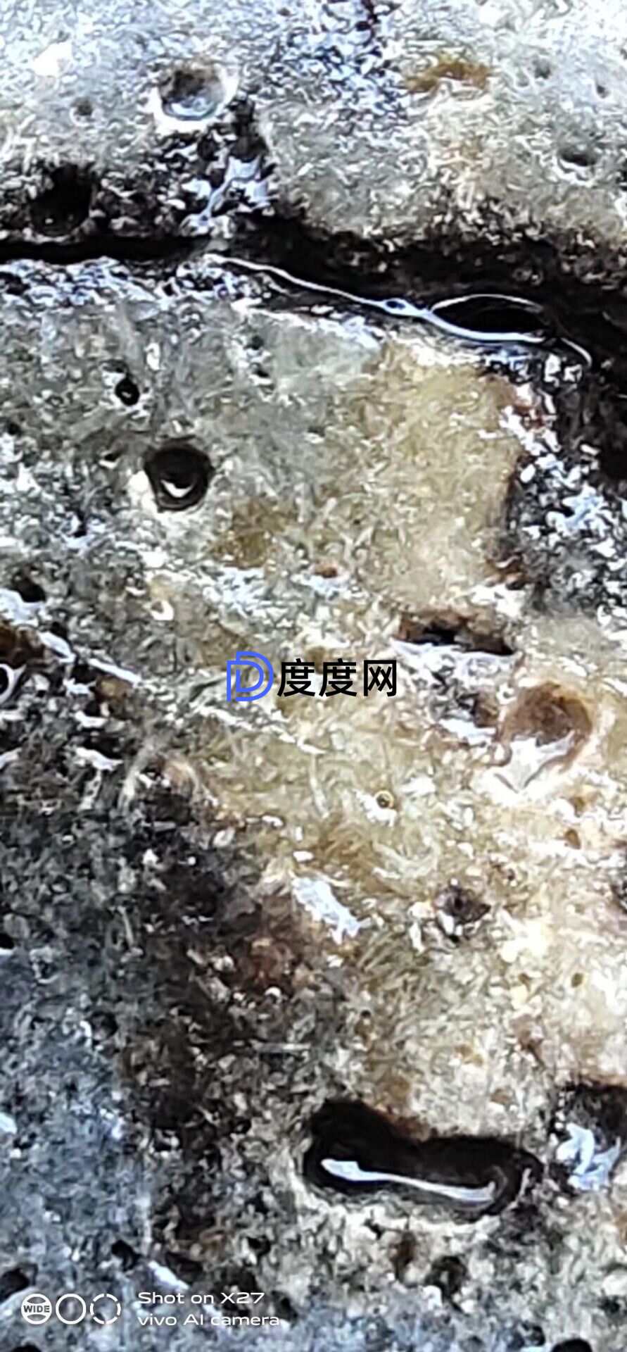 1a835f1f26e2b861cdb5d6573d0e8fa0404a5d5720d2d999f3279ed206929bb4.0.JPG
