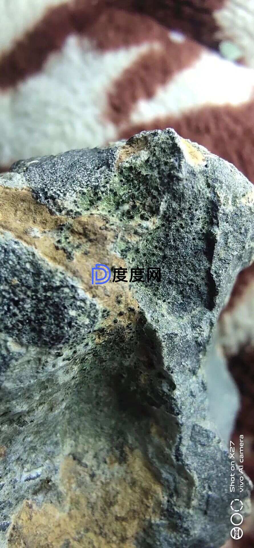 26e0a51c469b14d536c1477c91dc3887761f49de7c6959b7c5b6a867cf28acb6.0.JPG
