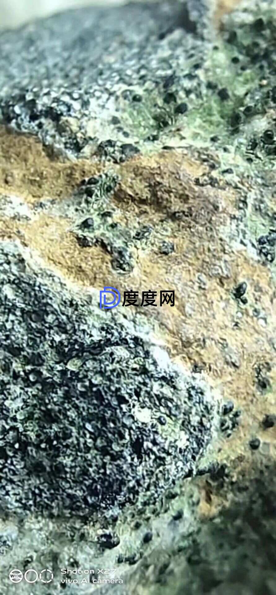 115139d56a29bff147ca8c067a2a5e633e1981ccf90a037107b91a50a29ffa6a.0.JPG