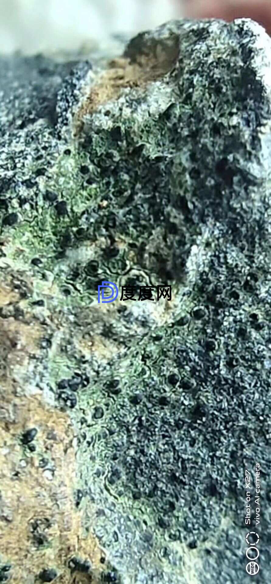 d601def8483adb8eb68d64d0a4ecf756ef483aa3dbd985f78b1d638641df7d8b.0.JPG