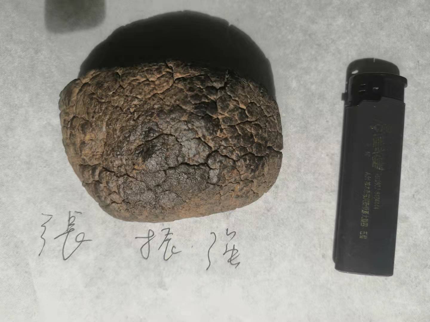 微信图片_20211011143138.jpg