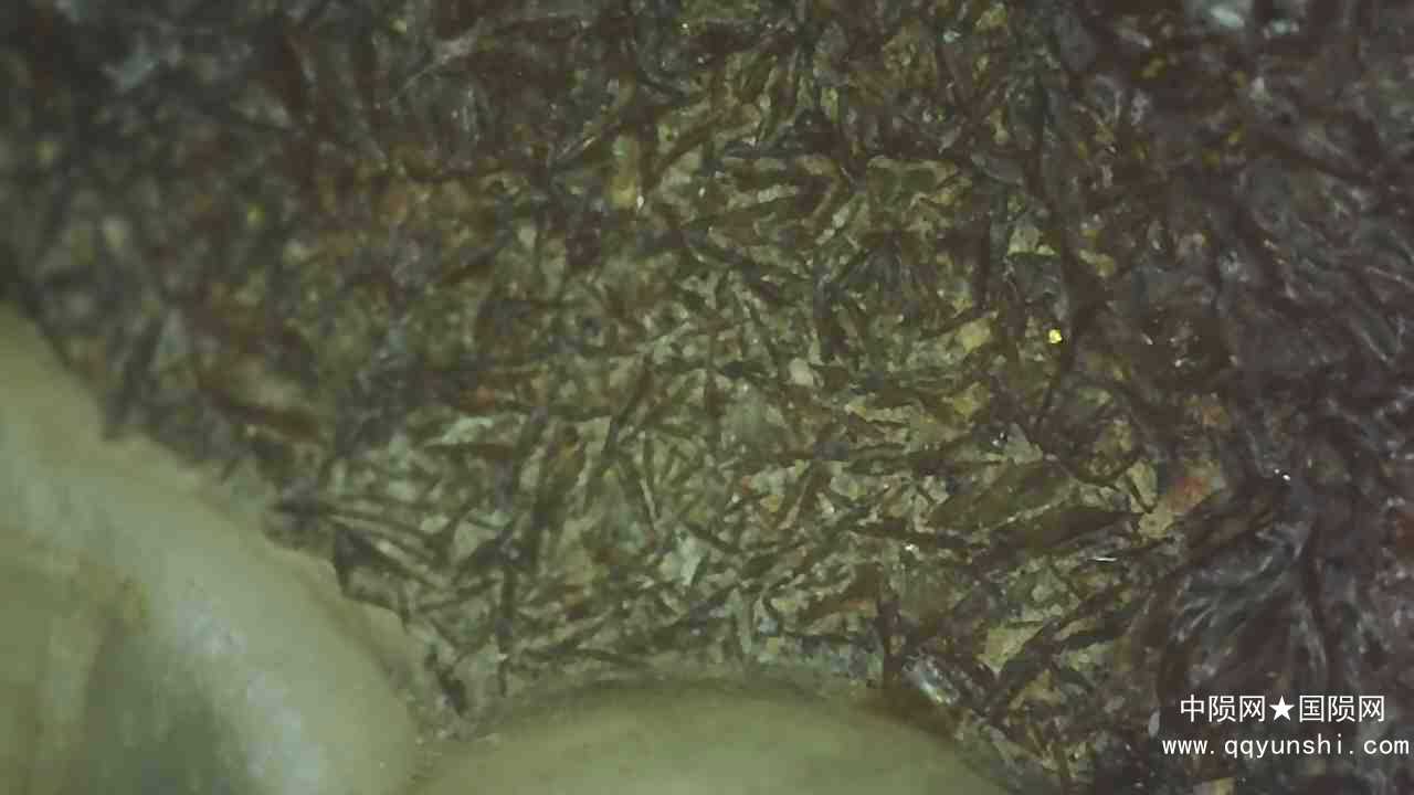 20210824_1650_006_0.000.jpg