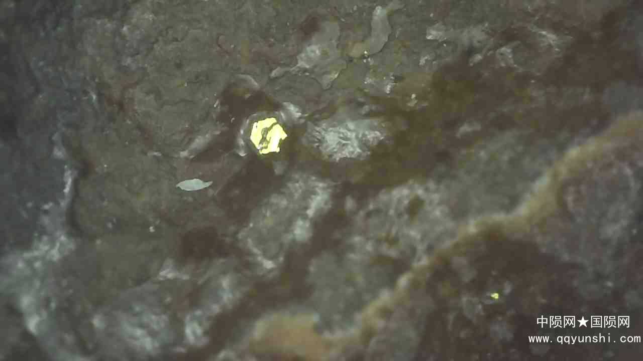 20210823_1822_031_0.000.jpg