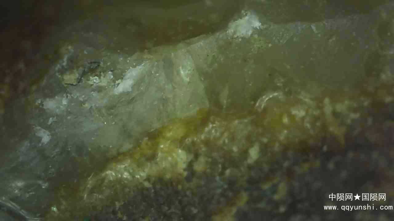 前端自然断裂面横截融壳面图
