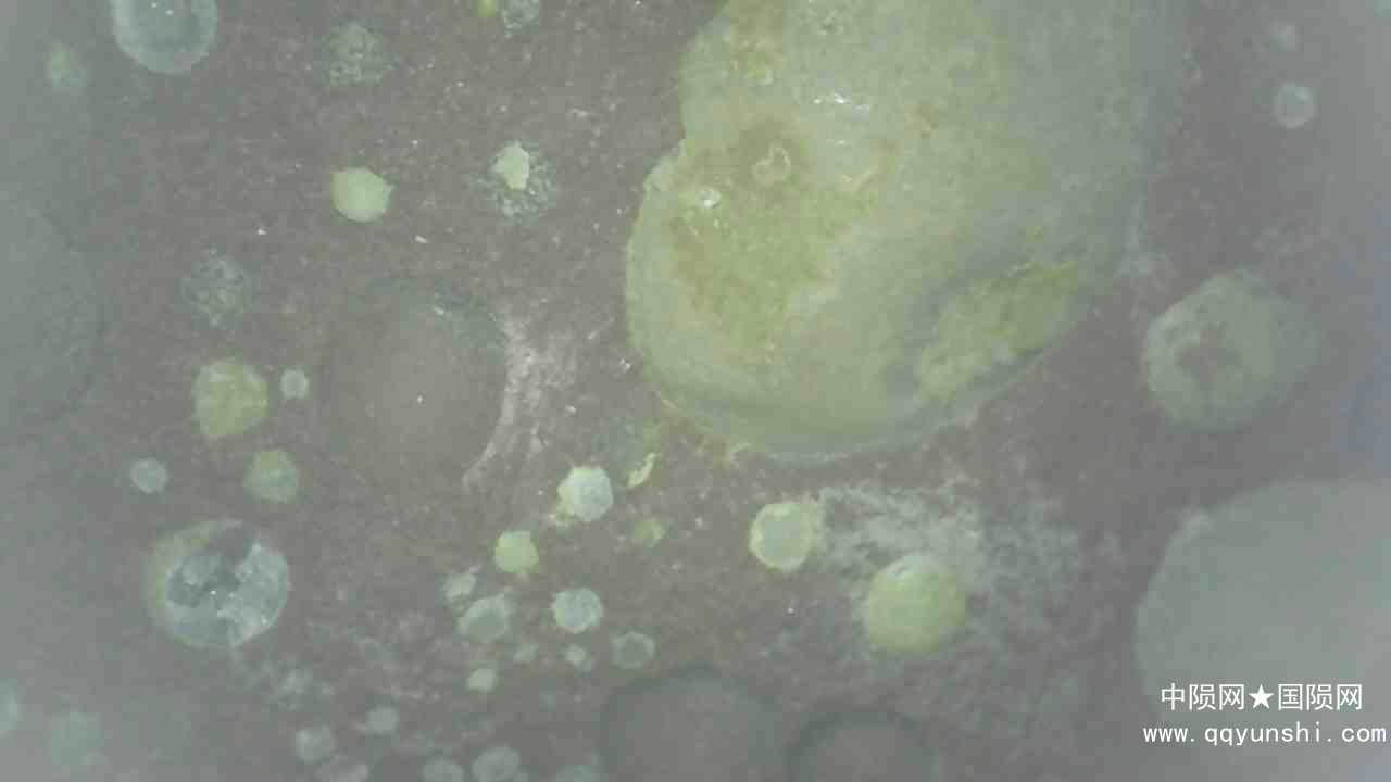 20220109_1222_004_0.000.jpg