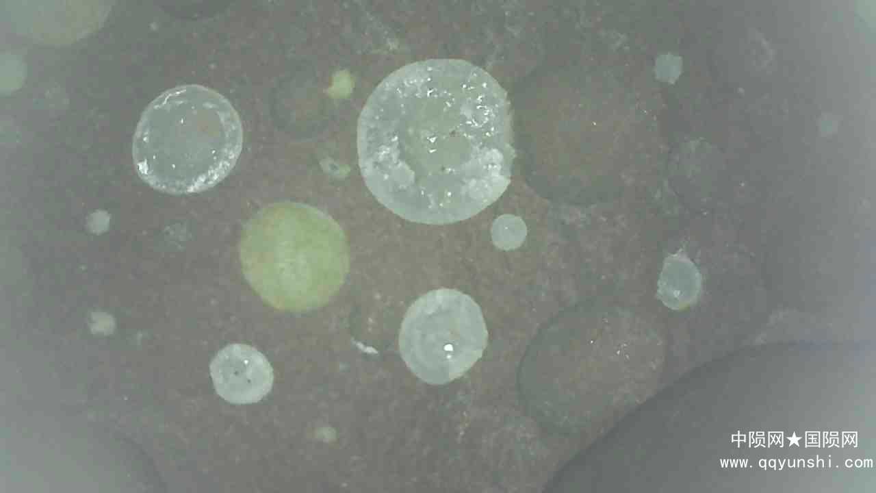 20220109_1222_003_0.000.jpg