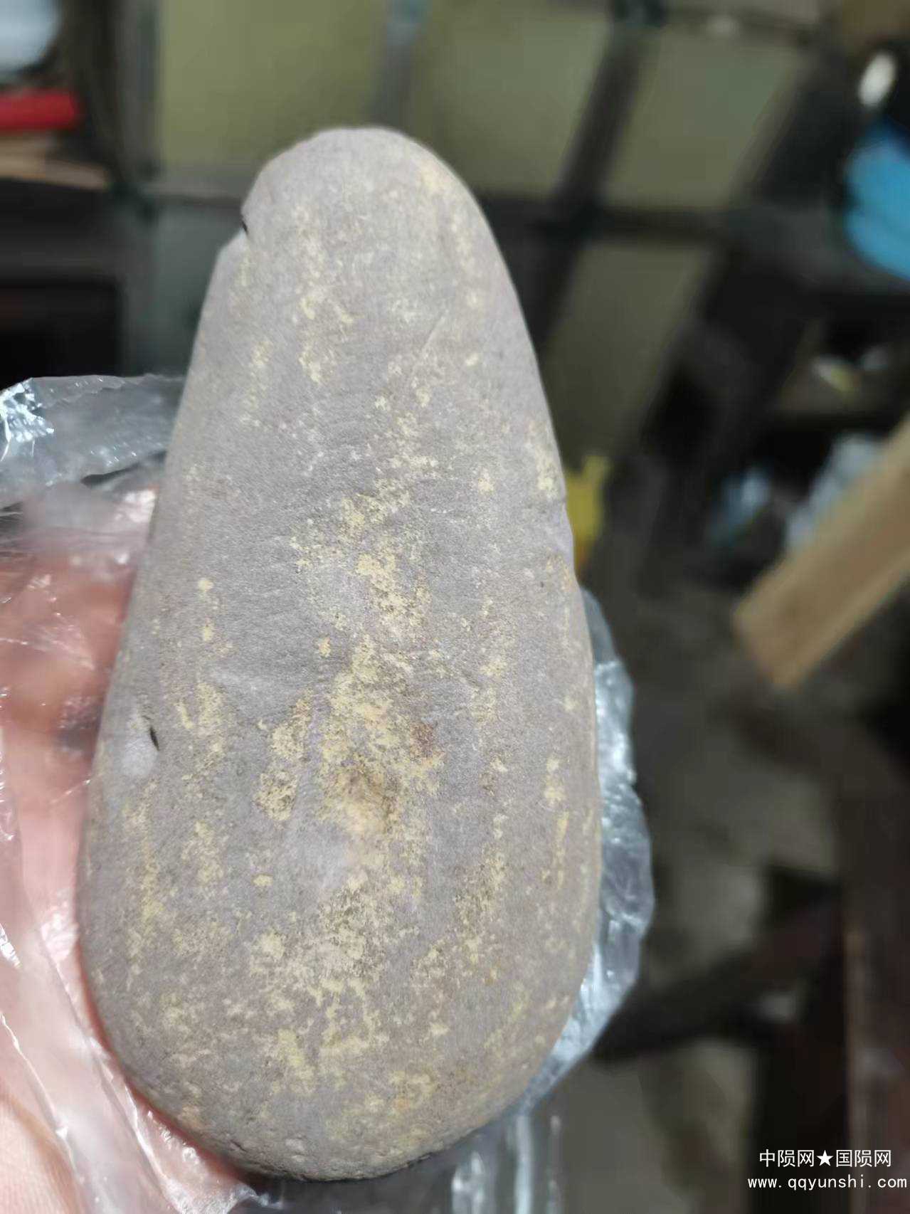 全图正面