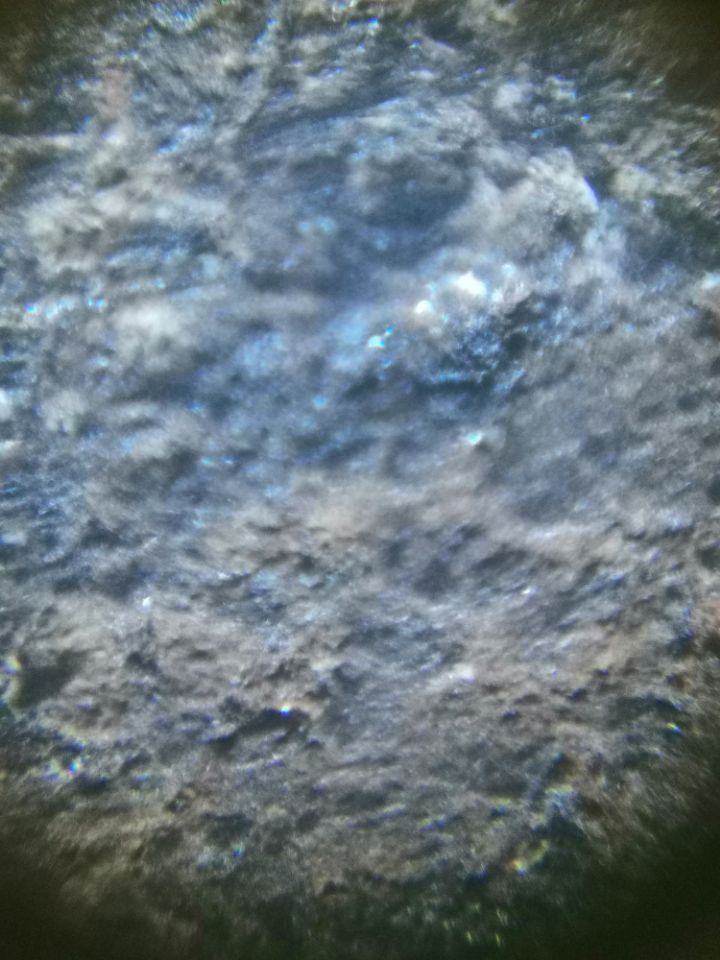 bbd8881081f683e.jpg