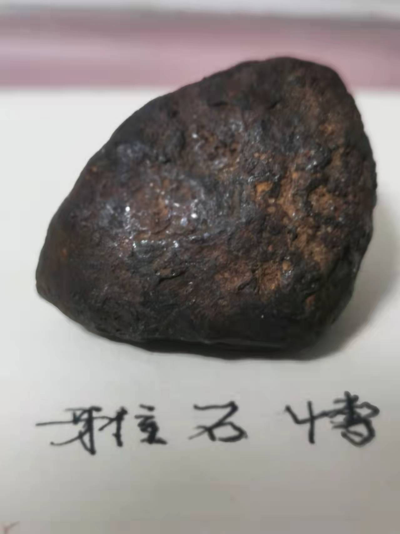 微信图片_202202080001163.jpg