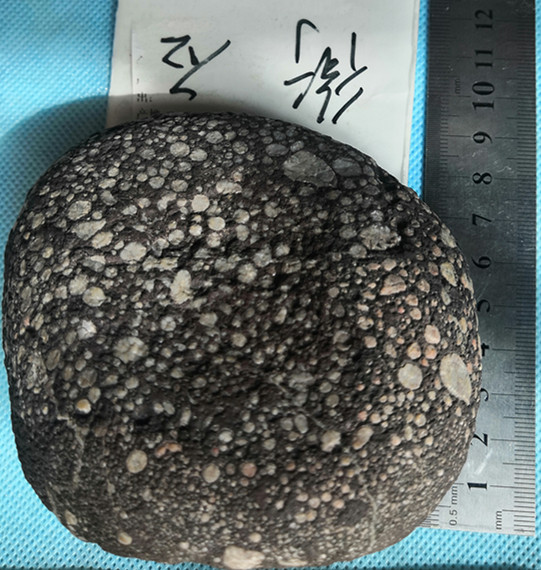 微信图片_20220414121844_副本.jpg