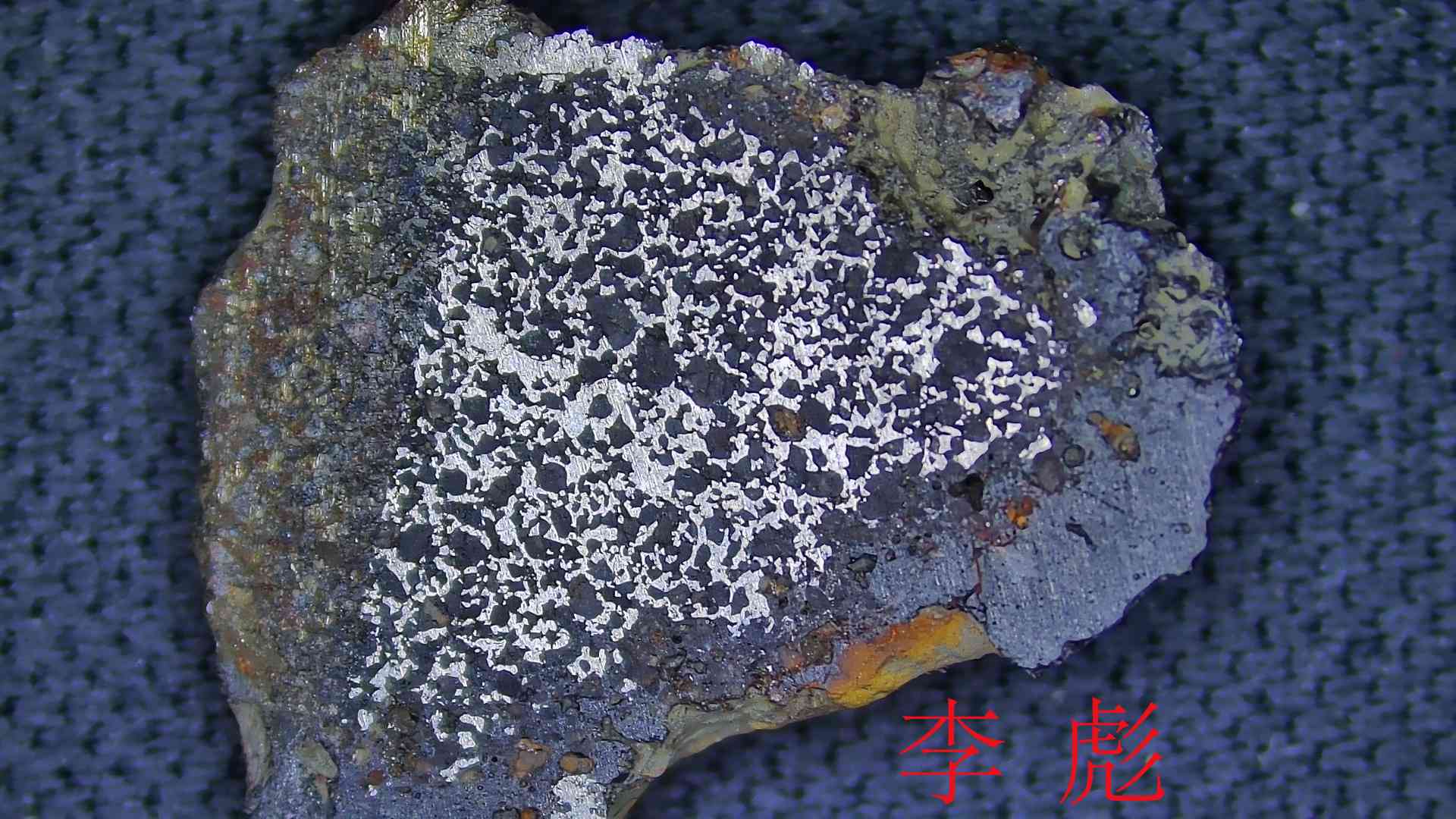 切片微距