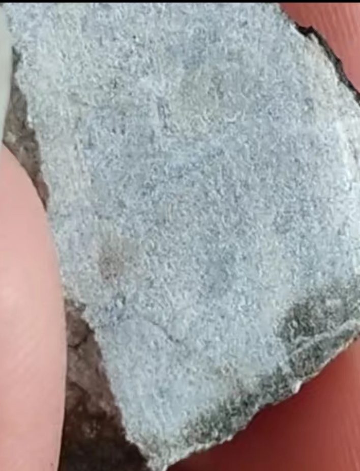 火星陨石或其他未知名含有机成分的陨石！