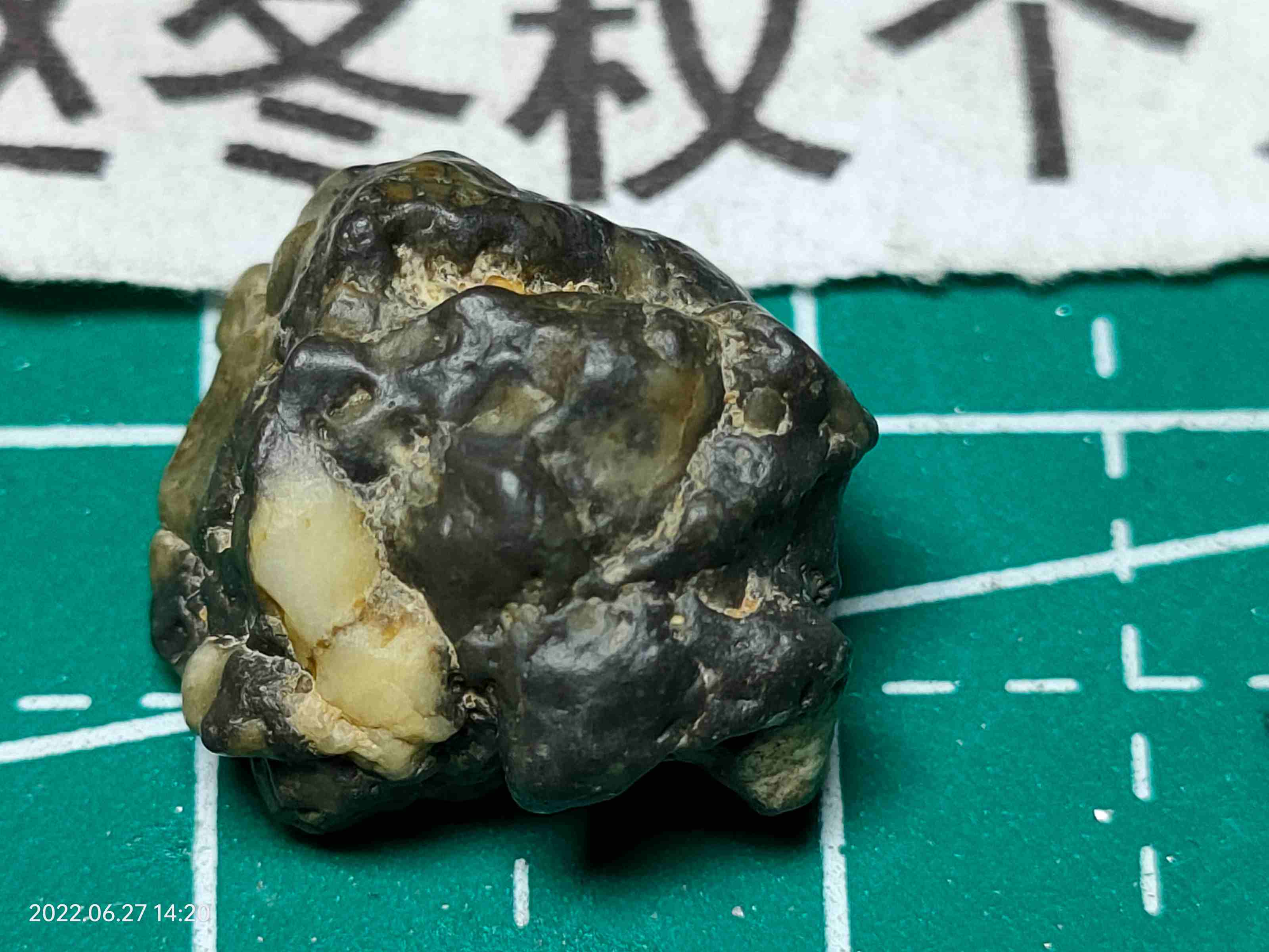 下载1.jpg