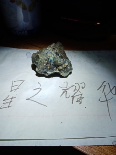 IMG_20220716_143106.jpg