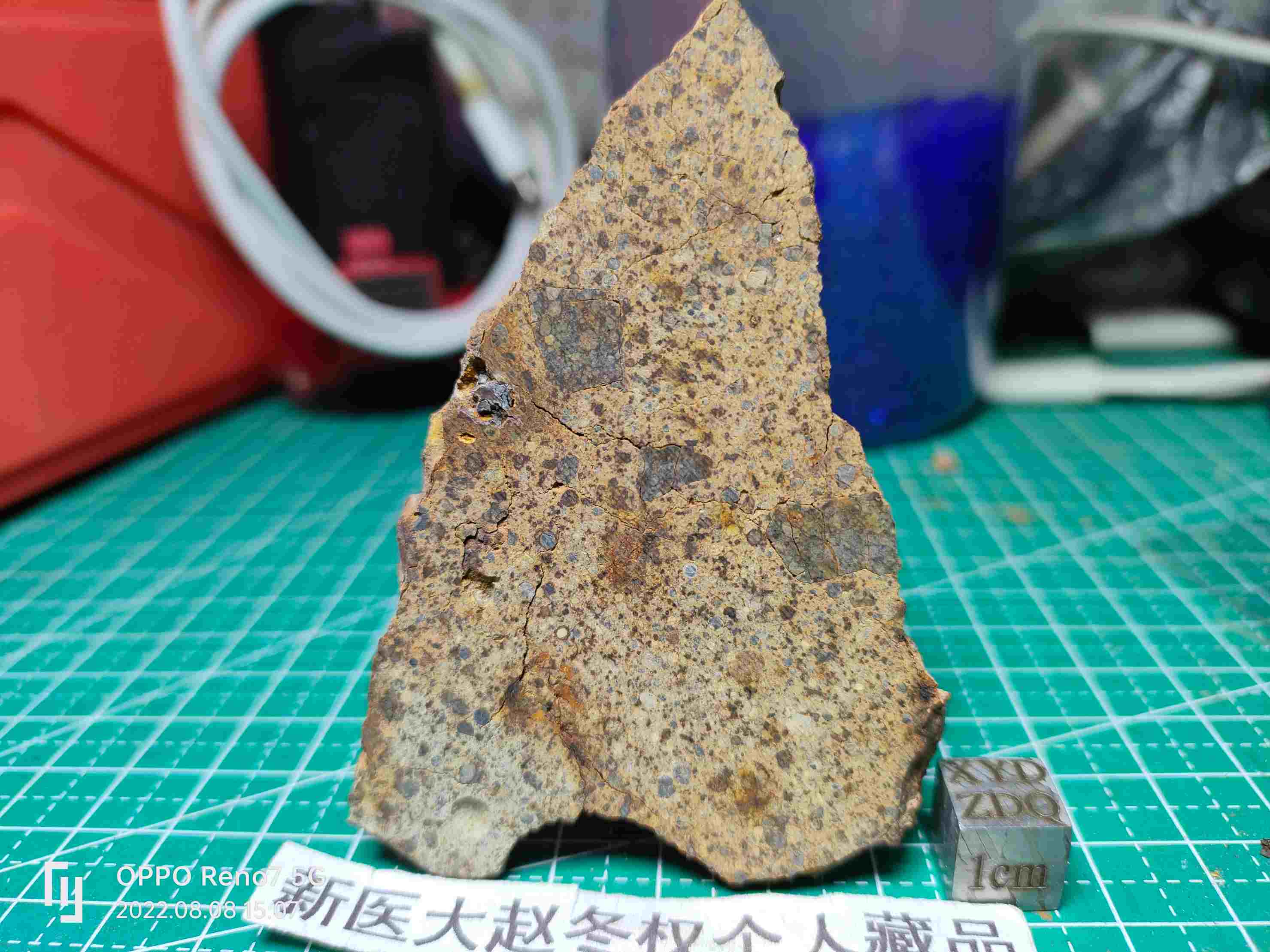 下载1.jpg