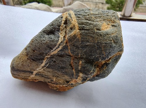 IMG_20230408_120746982_HDR.jpg