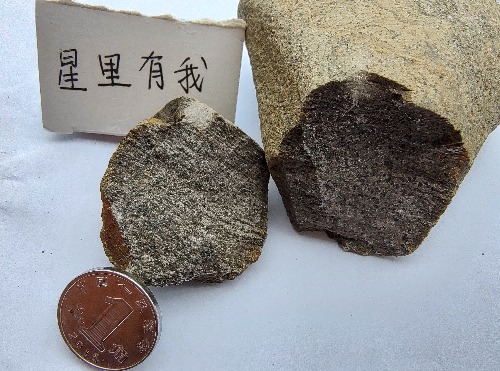 IMG_20230429_133721964_HDR.jpg