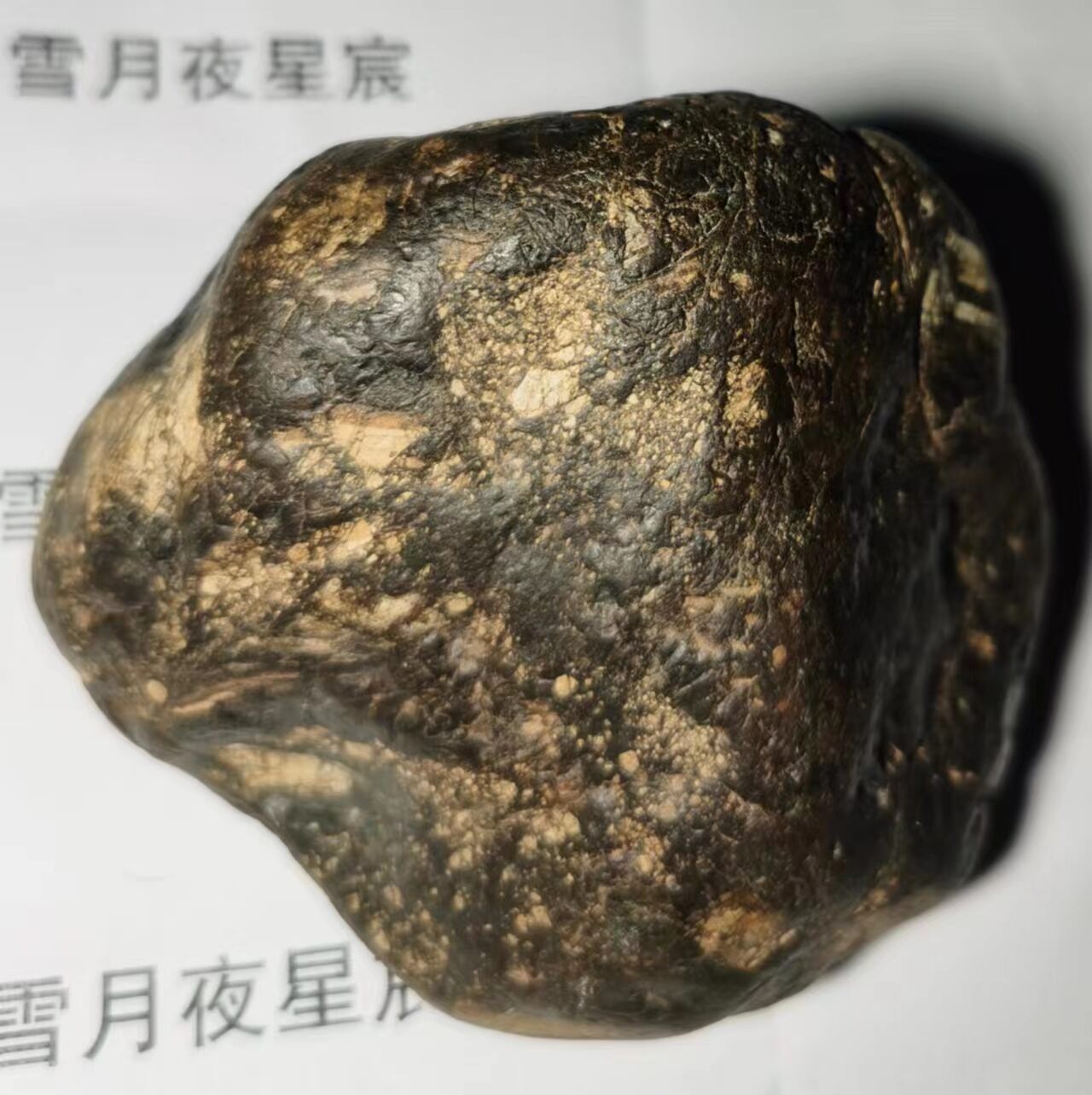 微信图片_20230504235912(1).jpg
