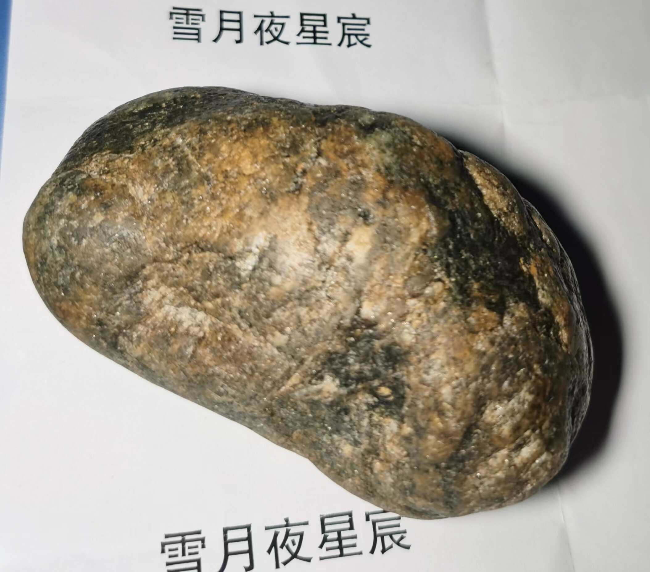 微信图片_20230504235834(1).jpg