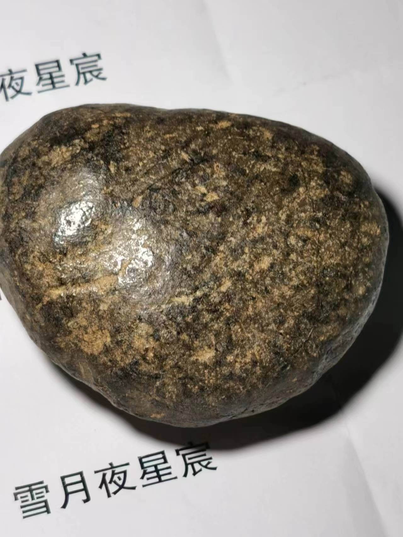 微信图片_20230506004419(1).jpg