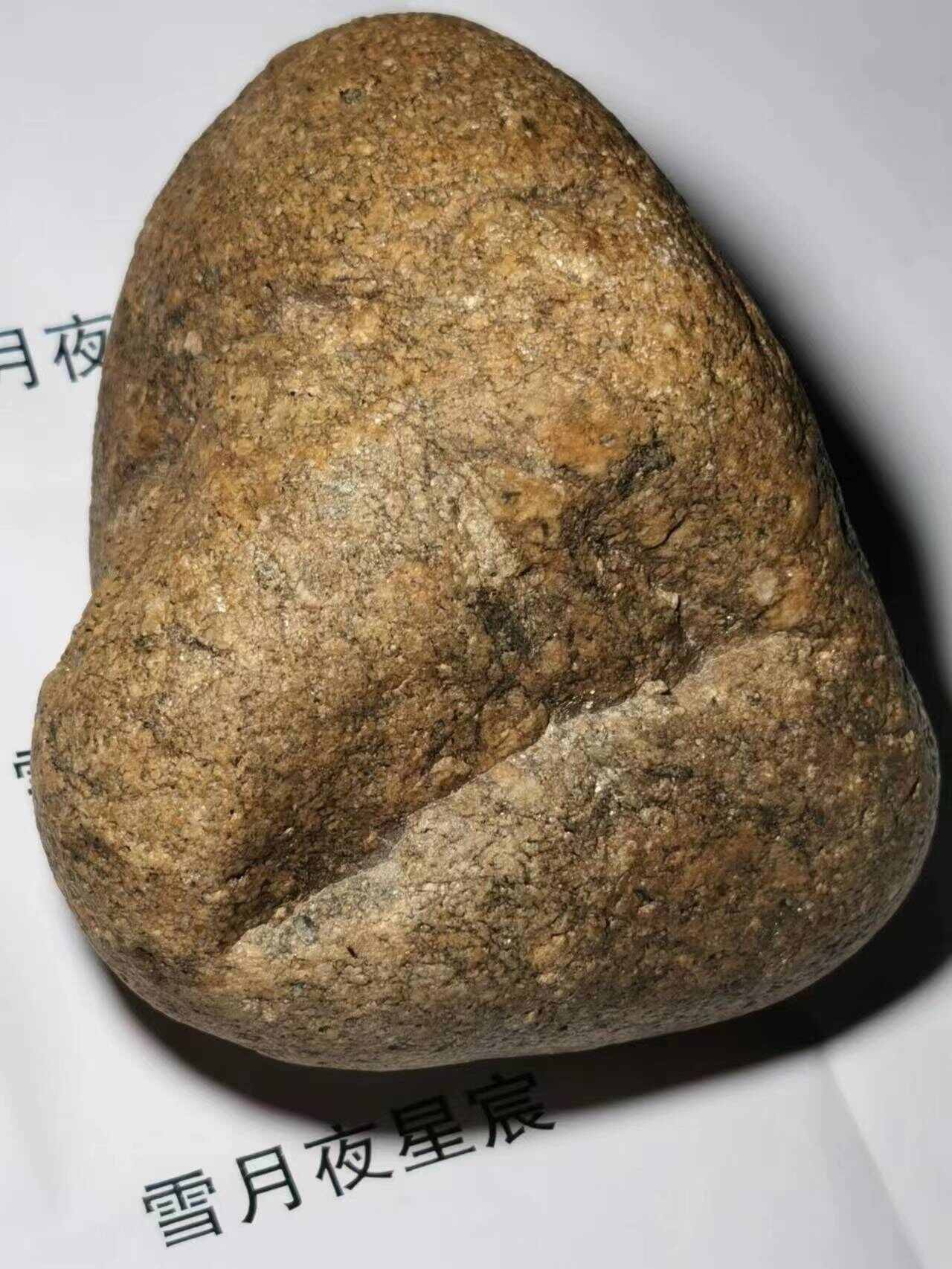 微信图片_20230506005024(1).jpg