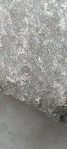 IMG_20230728_060855.jpg