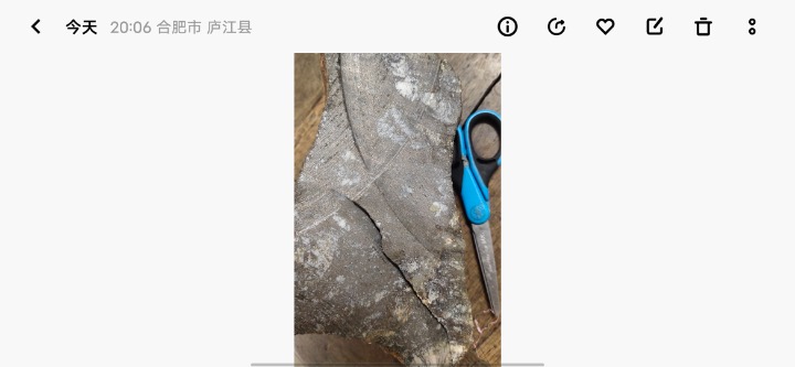 Screenshot_20231128_210159.jpg