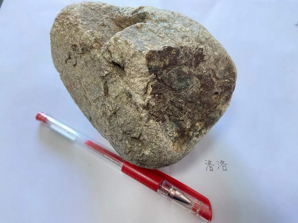 微信图片_20240421211207_调整大小.jpg