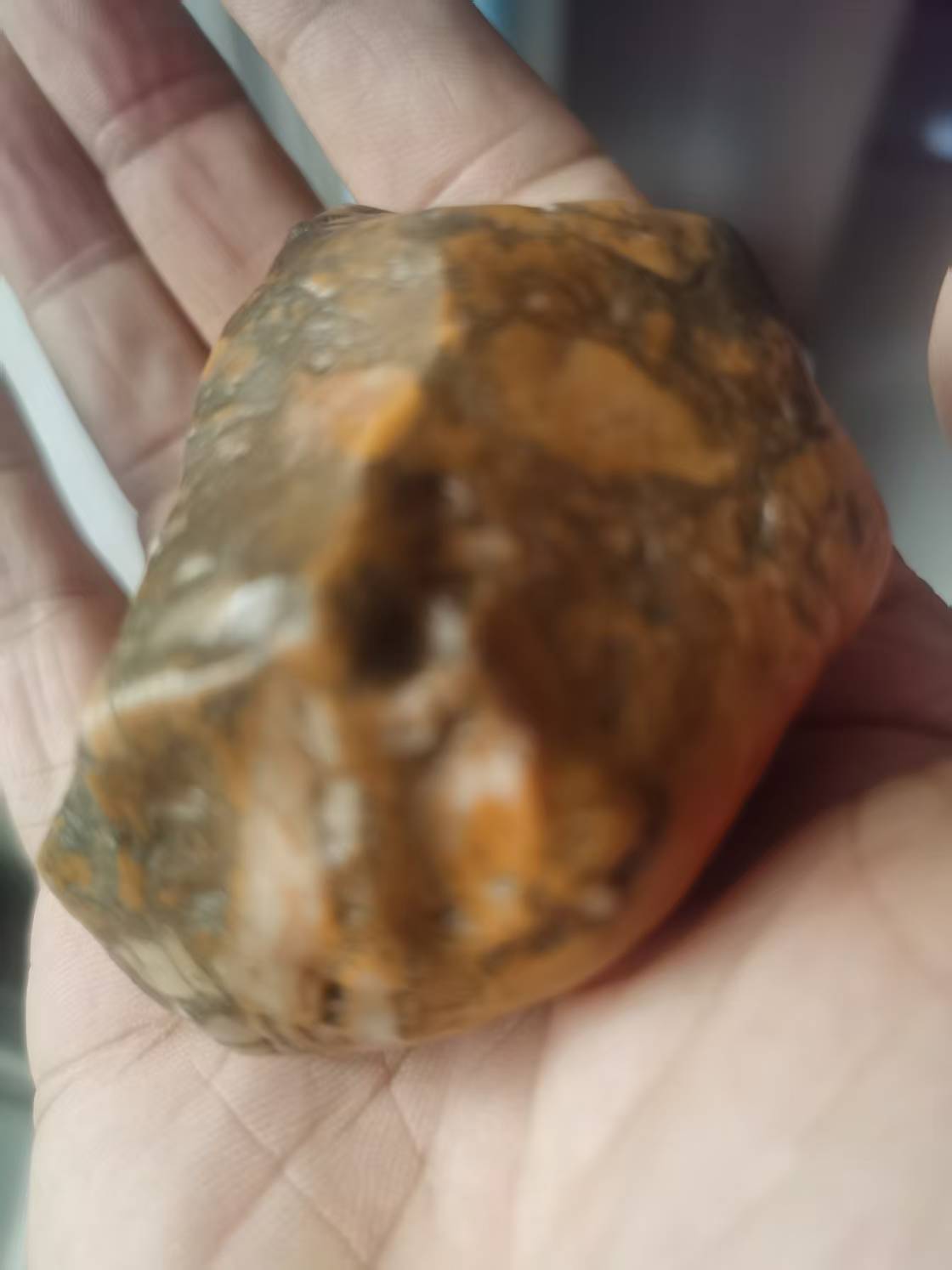 额济纳旗5.jpg