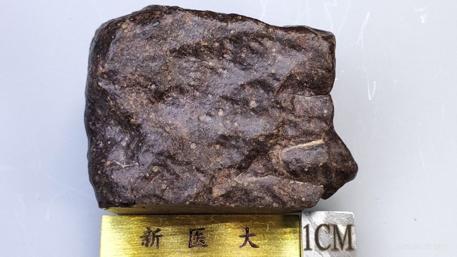 图片压缩_111 153.jpg